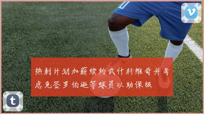 热刺计划加薪续约武什科维奇并考虑免签罗伯逊等球员以助保级