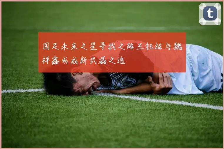 国足未来之星寻找之路王钰栋与魏祥鑫或成新武磊之选