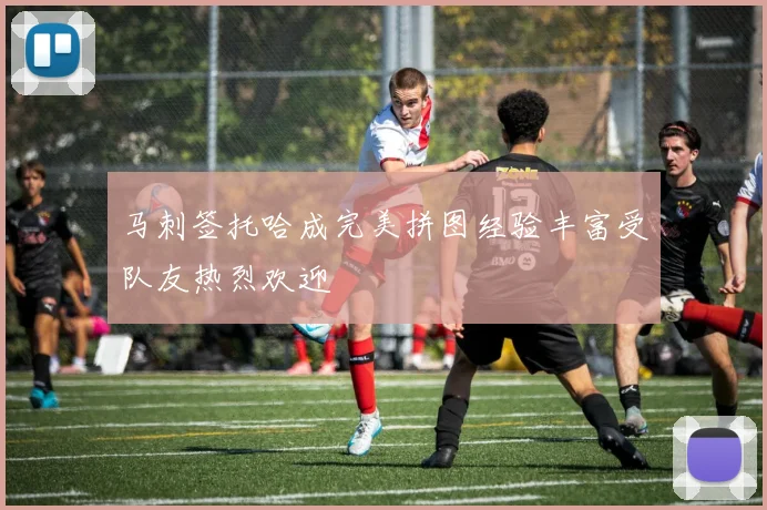 马刺签托哈成完美拼图经验丰富受队友热烈欢迎